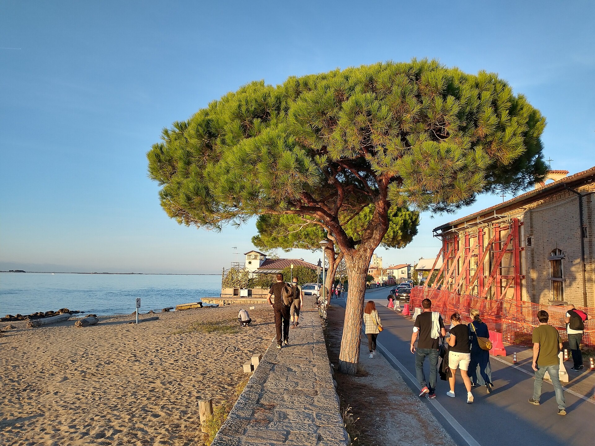 The Lido beach facing the Adriatic